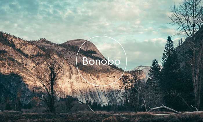 Bonobo en Niceto Club