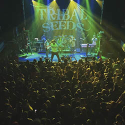 Tribal Seeds en Argentina