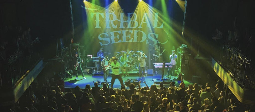 Tribal Seeds